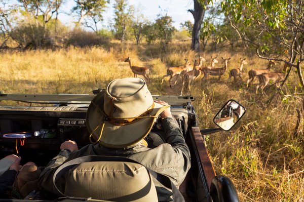 Les secrets d'un voyage inoubliable en Tanzanie